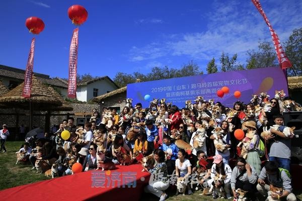 200条柯基犬嗨翻宠物谷花式玩转跑马岭首届宠物文化节