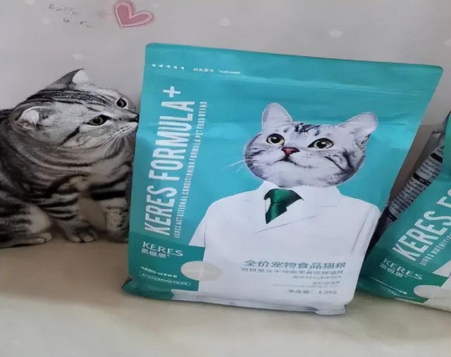 凯锐思猫粮质量怎么样挑选猫粮的正确方法！